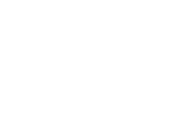 Vlack 